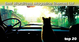 Best Magazine Themes - WordPress