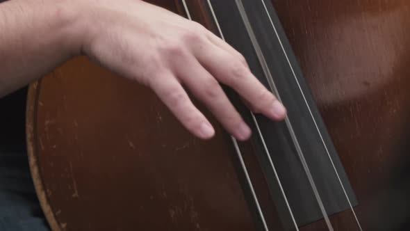 Unrecognizable Contrabassist Playing Acoustic Music alt