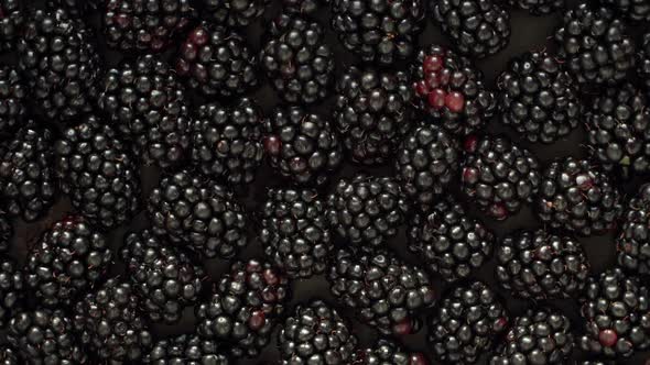 Top View of Many Fresh Ripe Juicy Blackberries Rotate on Board