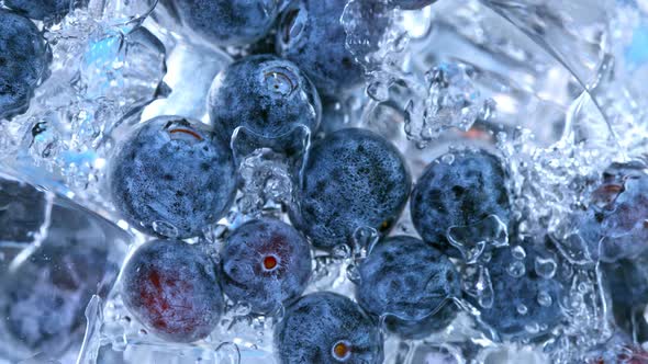 Super Slow Motion Shot of Pouring Water on Blueberries and Ice Cubes in Glass at 1000 Fps alt