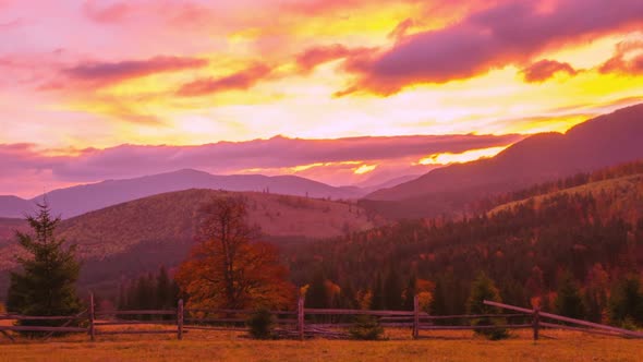 The Mountain Forest on the Background of the Sunset alt