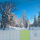 MW3DHDR0005 Snowy Winter Scene in the Forest