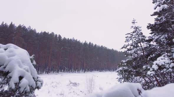 Aerial View of Winter Recreation Park alt