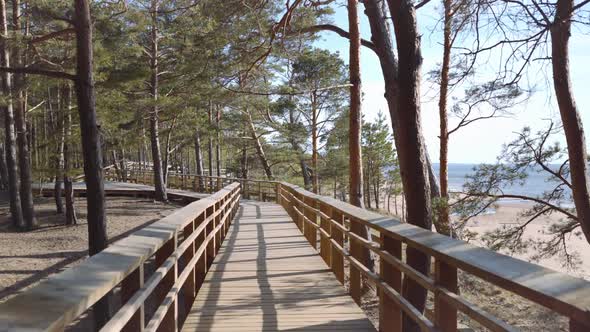 Walk along the Baltic Sea on a wooden trail
