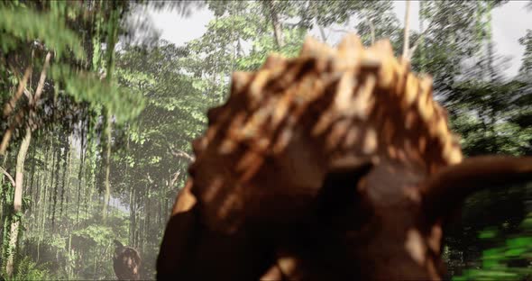 A Hungry Huge Tyrannosaurus Chasing Triceratops in the Jungle