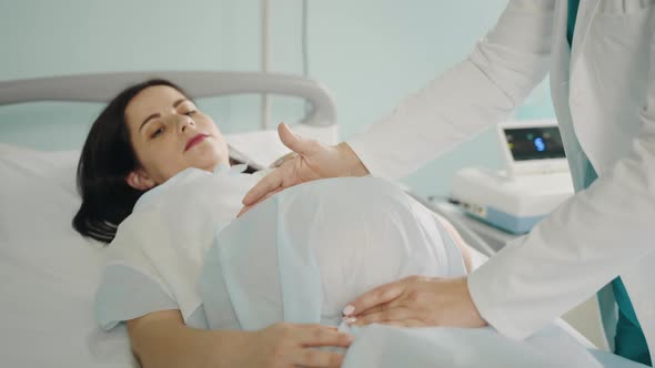 Pregnant Woman Lying on Medical Couch While Professional Gynecologist Doing alt