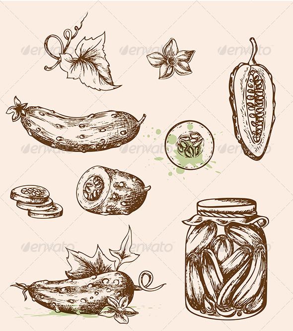 Vintage Vector Cucumbers - Food Objects