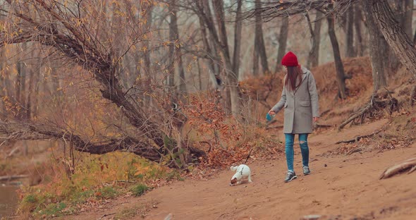 Walk Along the Riverbank with a Dog alt