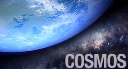 Cosmos