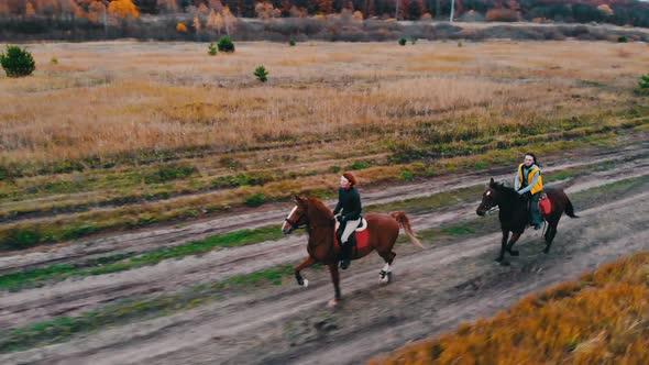 Two Bay Horses with Equestrians on Their Back Are Galloping on the Autumn Field alt