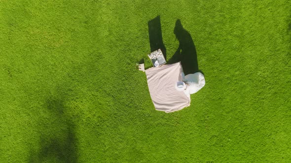 Happy Woman Sits on Cozy Picnic Blanket with Basket Romantic Dinner at Summer alt