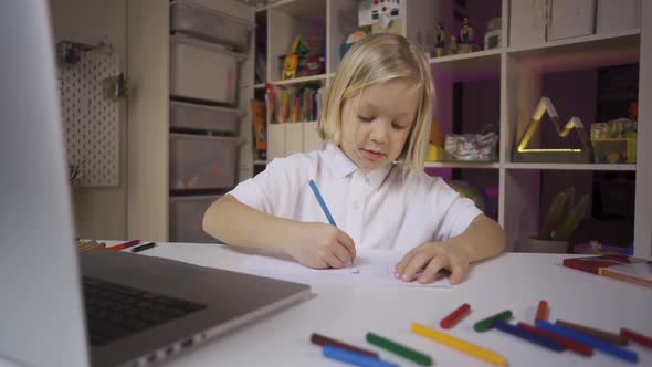 Distance Learning Online Education, A Pre School Boy Learning at Home with Laptop, Slow Motion
