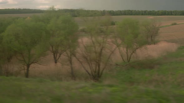 View From Window of Highspeed Train on Landscape of Beautiful Nature Wild Field and Forest on