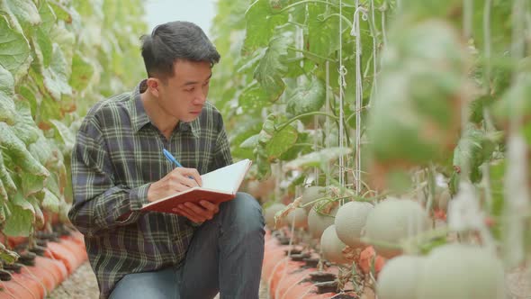 Asian Farmer Is Documenting Data The Yield And Growth Of Melons In Organic Farms With Book alt