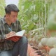 Asian Farmer Is Documenting Data The Yield And Growth Of Melons In Organic Farms With Book - VideoHive Item for Sale