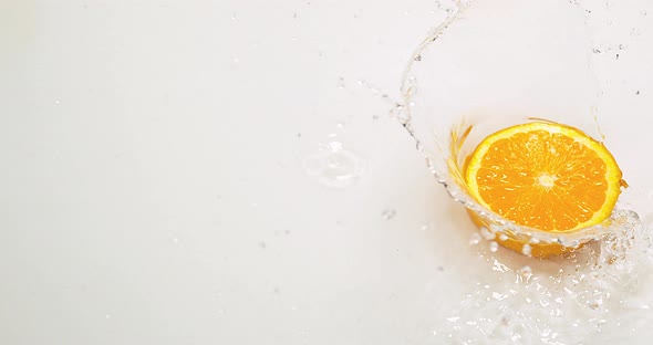 Orange, citrus sinensis, Slice Falling on Water and splashing, against White Background alt