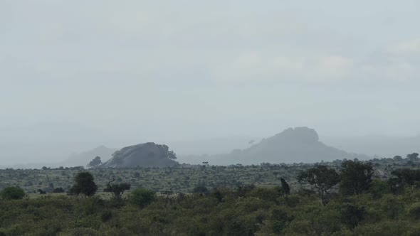 Savannah landscape view, on a cloudy day, Kenya, Africa alt
