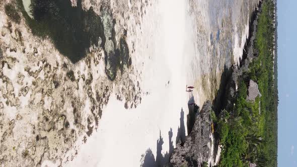 Zanzibar Tanzania  Vertical Video of the Ocean Near the Coast Slow Motion alt