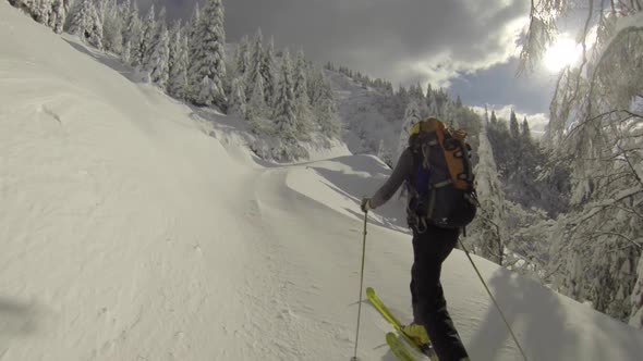 A man goes cross-country skiing in fresh power snow alt