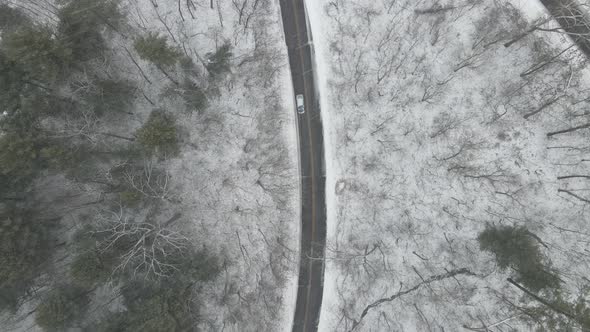 Snowing forest road in western Wisconsin.