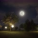Night garden with lanterns 4K - VideoHive Item for Sale