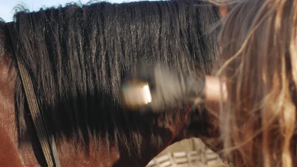 Woman Combs Horse's Mane