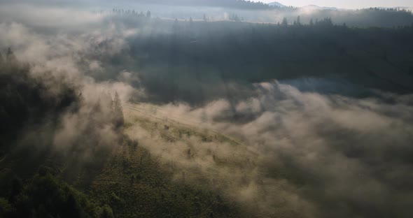 The Sun's Rays Covered The Carpathian Mountains. The Fog Dissipates