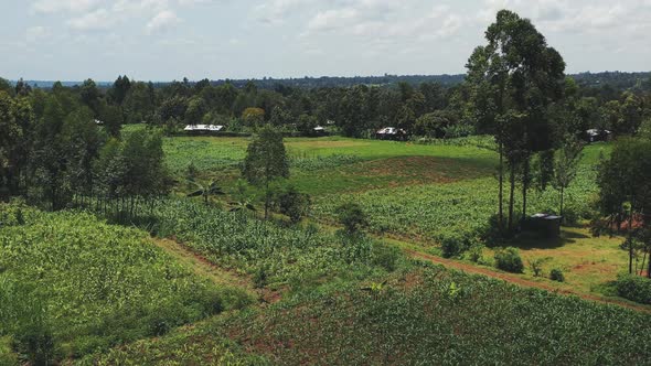 Agricultural Fields in an Kenya alt