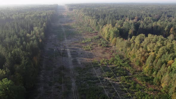 Highvoltage Power Line in a Forest Clearing alt