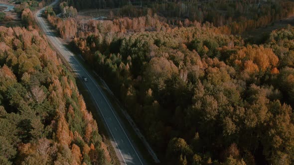 Asphalt road with traffic cars between forest in Ural