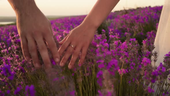 A Man and a Woman Hold Hands on Lavender Hold Hands and Leave