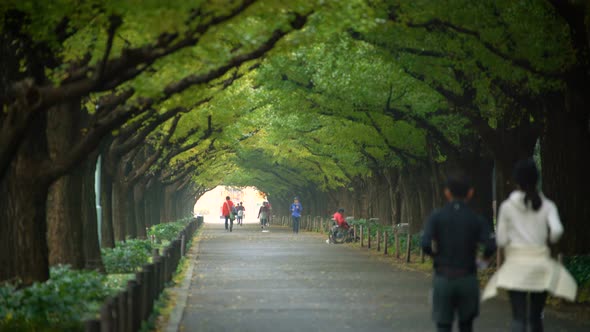 Japanese People Running for Exercise in Tokyo alt