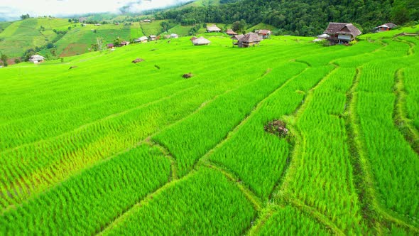 Drone flying over fields in Pa pong piang rice terraces alt