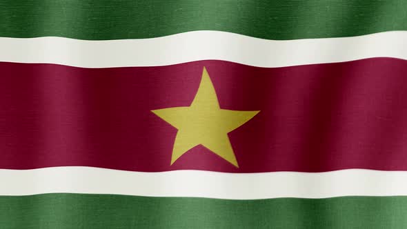 The National Flag of Suriname