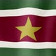 The National Flag of Suriname - VideoHive Item for Sale
