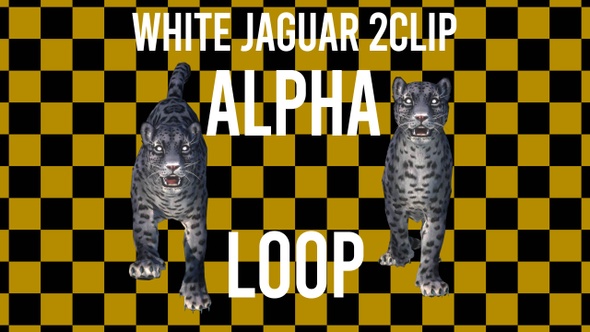 White Jaguar 2 Clip Alpha Loop