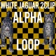 White Jaguar 2 Clip Alpha Loop - VideoHive Item for Sale