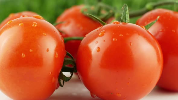 Ripe natural tomatoes close-up. Organic tomato rotating on a green background Macro shot. Garden alt