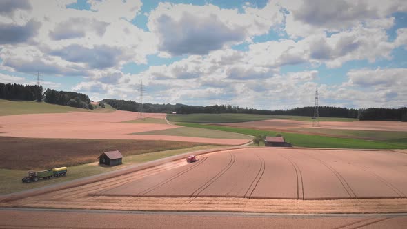 Combine harvesting ripe wheat crop alt