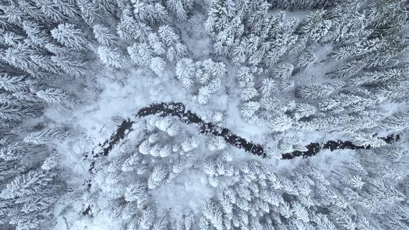 Aerial Top Down Shot of River Bend Floating in Winter Mountain Forest