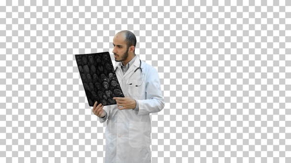 Doctor examining Xray results, Alpha Channel