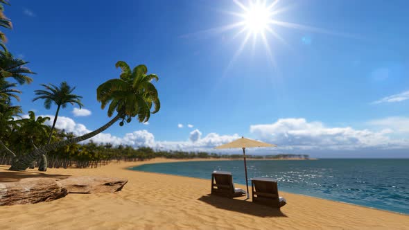 Beach Calm Scene With Sunbeds Under Coconut Palms