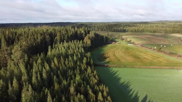Beautiful aerial shot flying over an evergreen forest in Finland national park alt