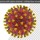 Single Corona Virus Covid-19 - VideoHive Item for Sale