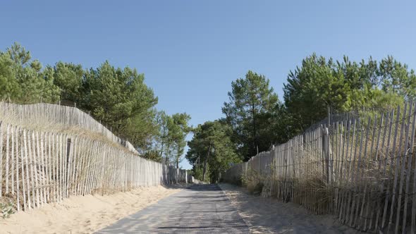 Natural  border made of planks  leading to sea beach slow tilt 4K 3840X2160 UltraHD footage - Wooden alt