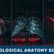Vertical Technological Anatomy Scanner. Part 3 - VideoHive Item for Sale