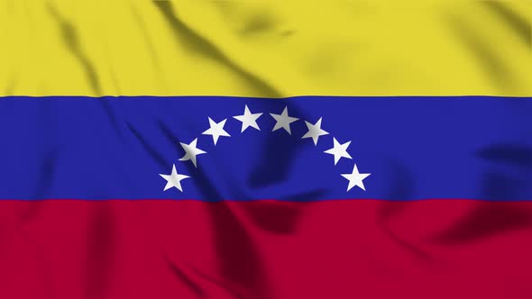 4K Venezuela Flag - Loopable