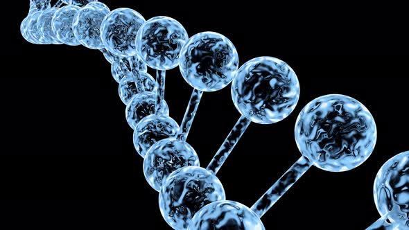 Frame structure of the code of DNA molecules in the liquid mobile state.