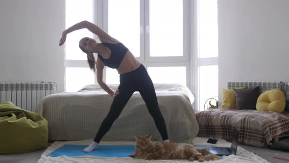 Woman Doing Exercise Workout at Home and Maine Coon Cat is Sitting Side By Side in Room