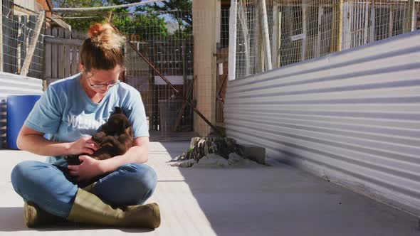 Dog in a shelter with volunteer alt